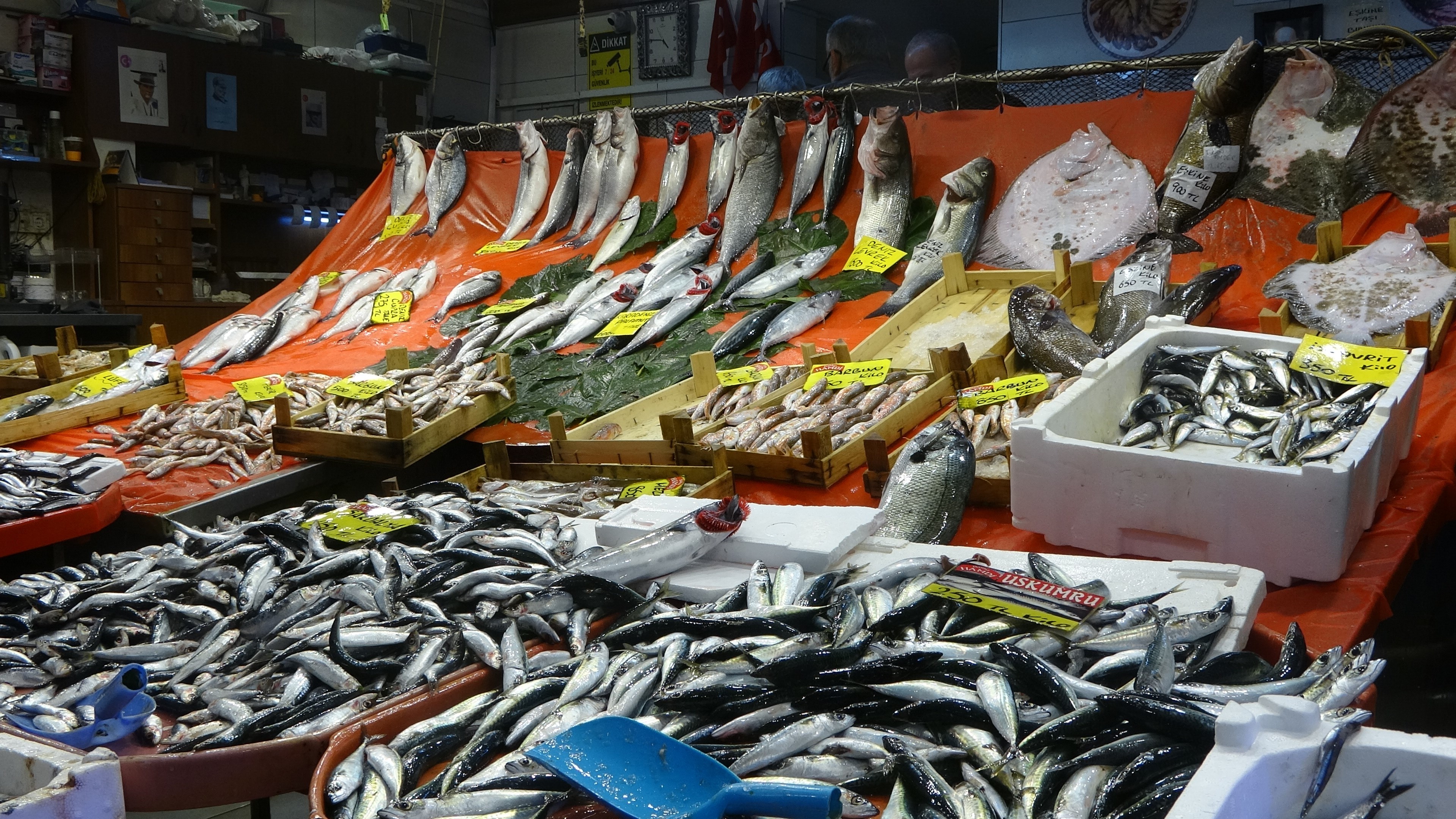 Balık fiyatları yarı yarıya düştü!