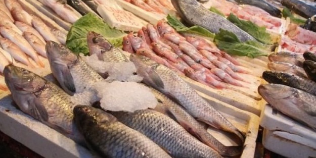 Balık fiyatları yüzde 50 düştü