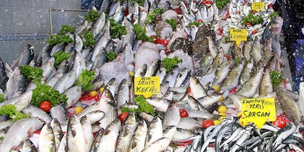 Balığın kulağına kar suyu kaçtı ama...