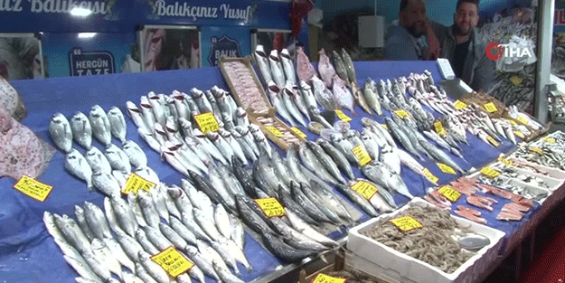 Balık fiyatlarını görenin ağzı açık kaldı!