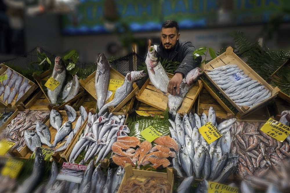 Balık fotoğrafı yarışmasının kazananları belli oldu 
