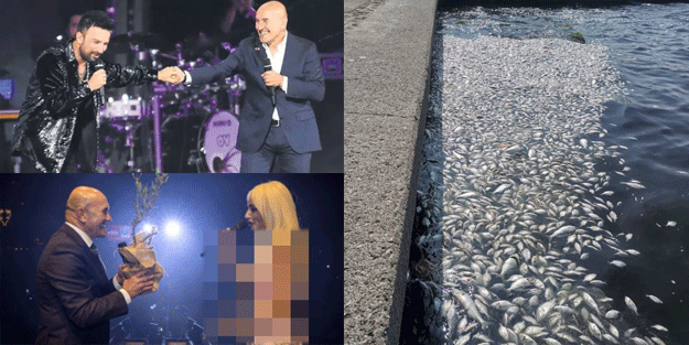 Balık hafızalılara Tarkan konseri 10. yıl marşı yeter! Bir yanda kirlilik bir yanda balık ölümleri
