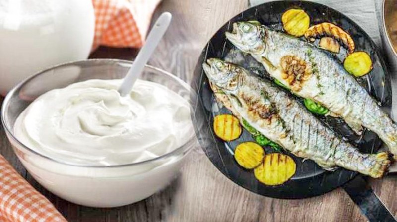 Balık ile yoğurt birlikte tüketilir mi? Pesketaryen beslenenler için avantaj ve dezavantajlar