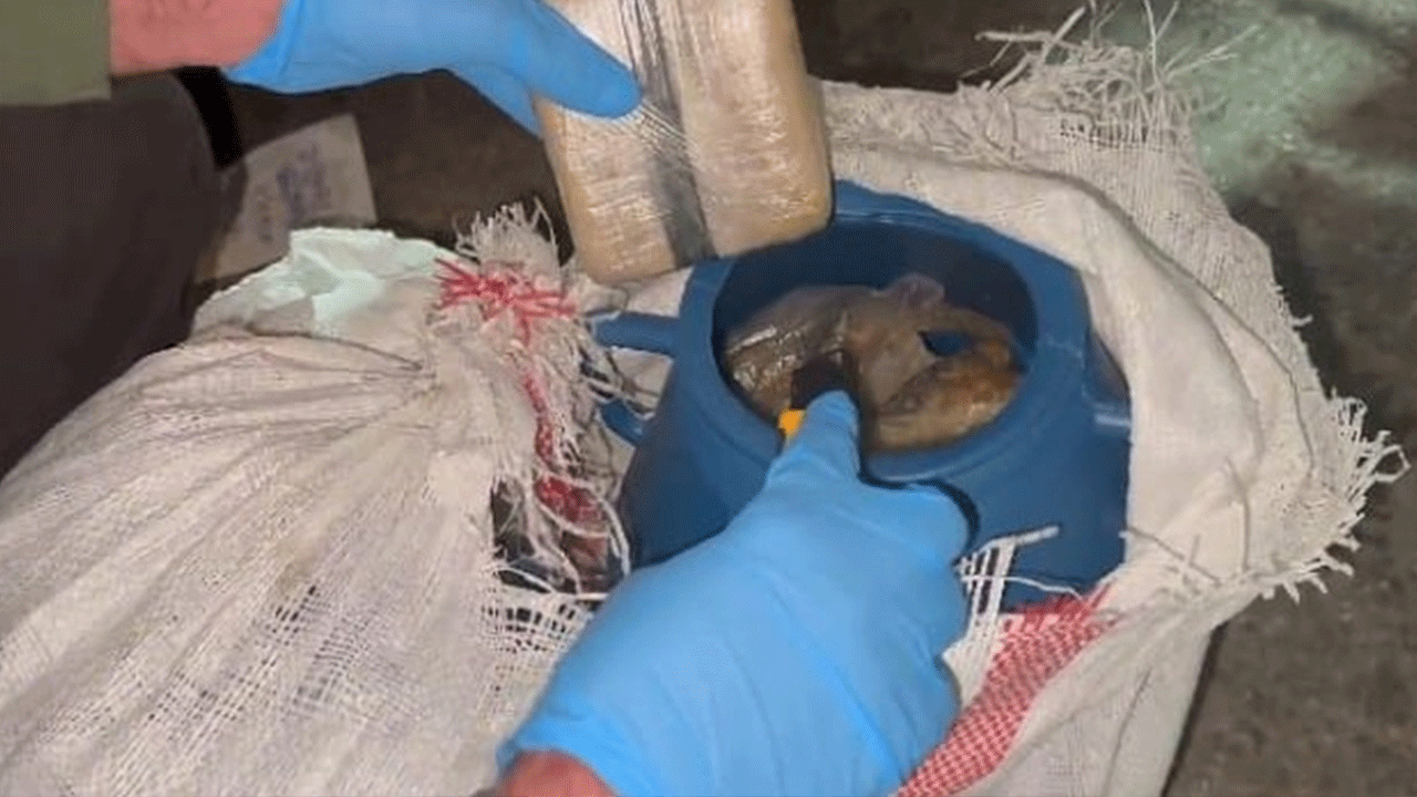 Balık kovası dediler suç mahalli çıktı