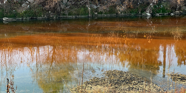 Balık ölümleri yaşanmıştı! Tereddüt eden görüntüye para cezası