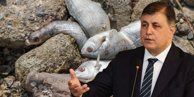 Balık ölümlerine CHP tipi savunma