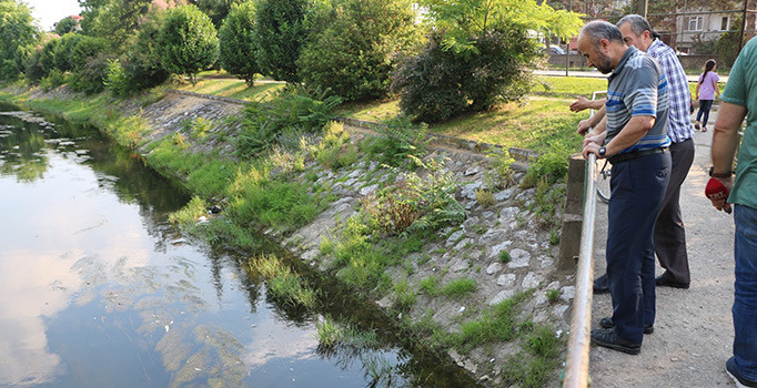 Balık ölümlerine vatandaşlardan tepki: Dereye gelmeye korkar olduk
