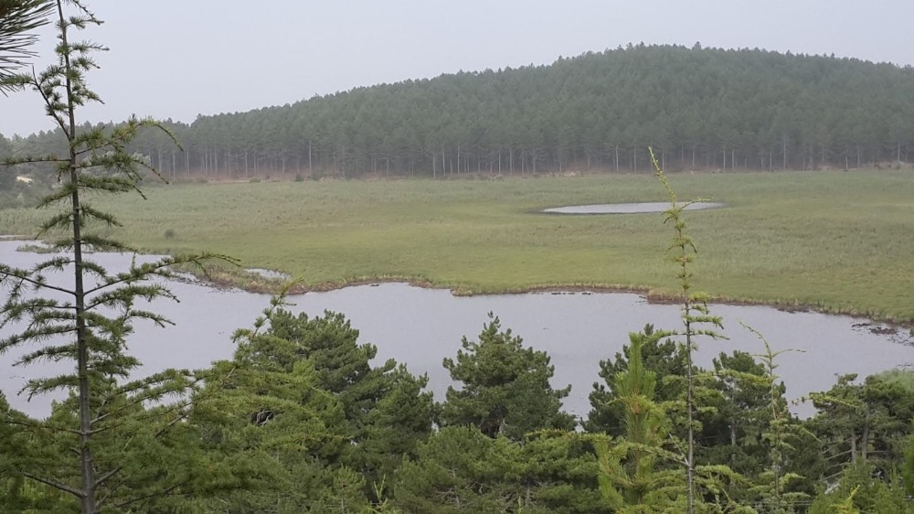 Balık ölümlerinin yaşandığı Süleymanlı Yayla Gölü’nün suyu temiz çıktı 