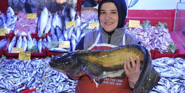 Balık pazarında tezgahlar doldu taştı. Balık pişirme yöntemleri