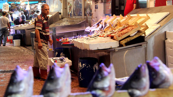 Balık sezon açıldı hamsi 15 liraya düştü!