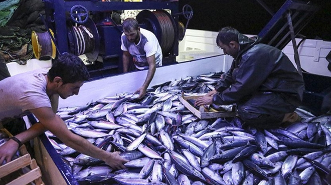 Balık sezonu 15 Nisanda kapanıyor