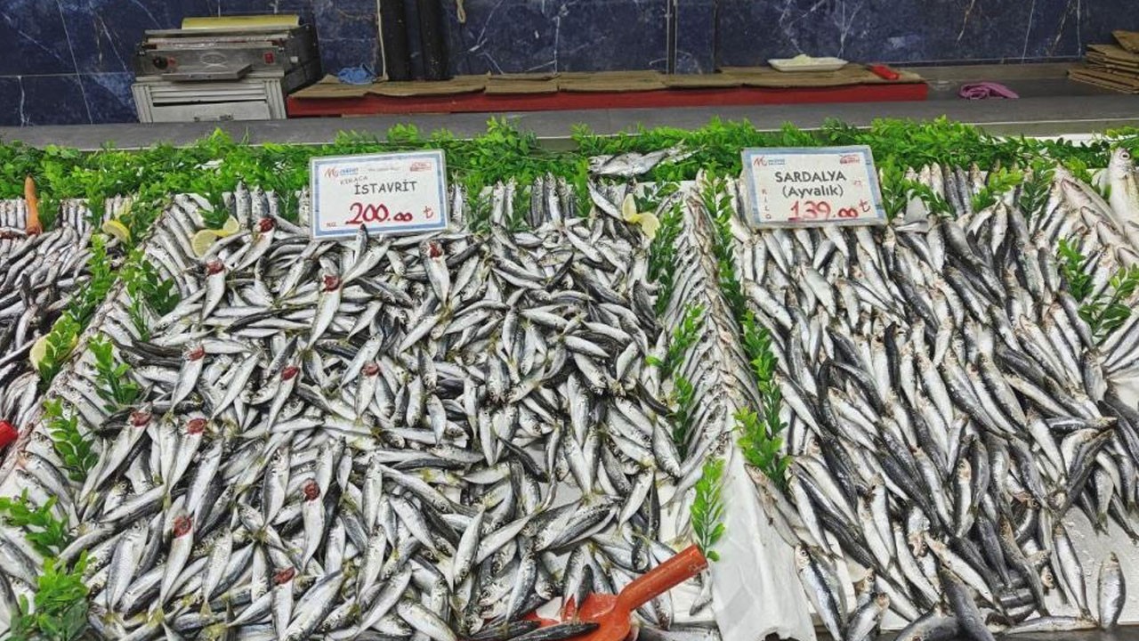 Balık tezgahları bolluk içinde