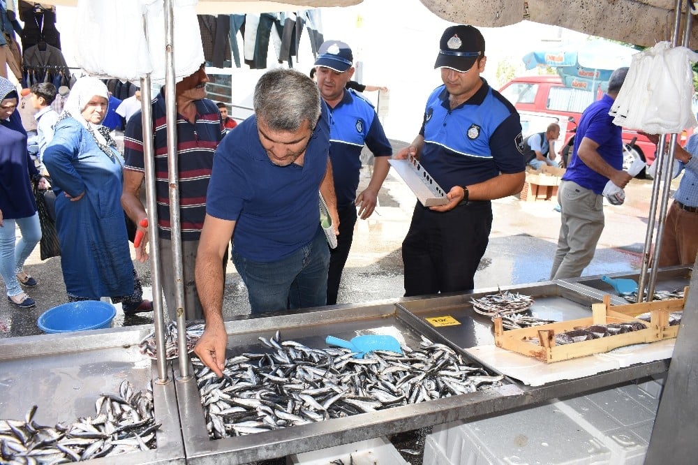 Balık tezgahları denetlendi 