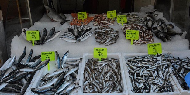 Balık tezgahları şenlendi!