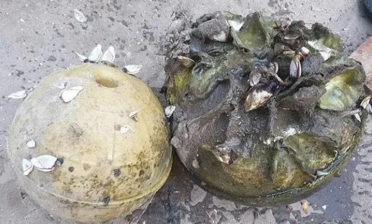 Balık tutmak için gittiler, zengin olup döndüler! Böyle iş görülmedi: Ağlarına öyle bir şey takıldı ki, aman aman