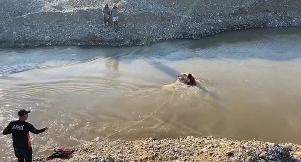 Balık tutmaya gittiler! Başlarına gelmeyen kalmadı