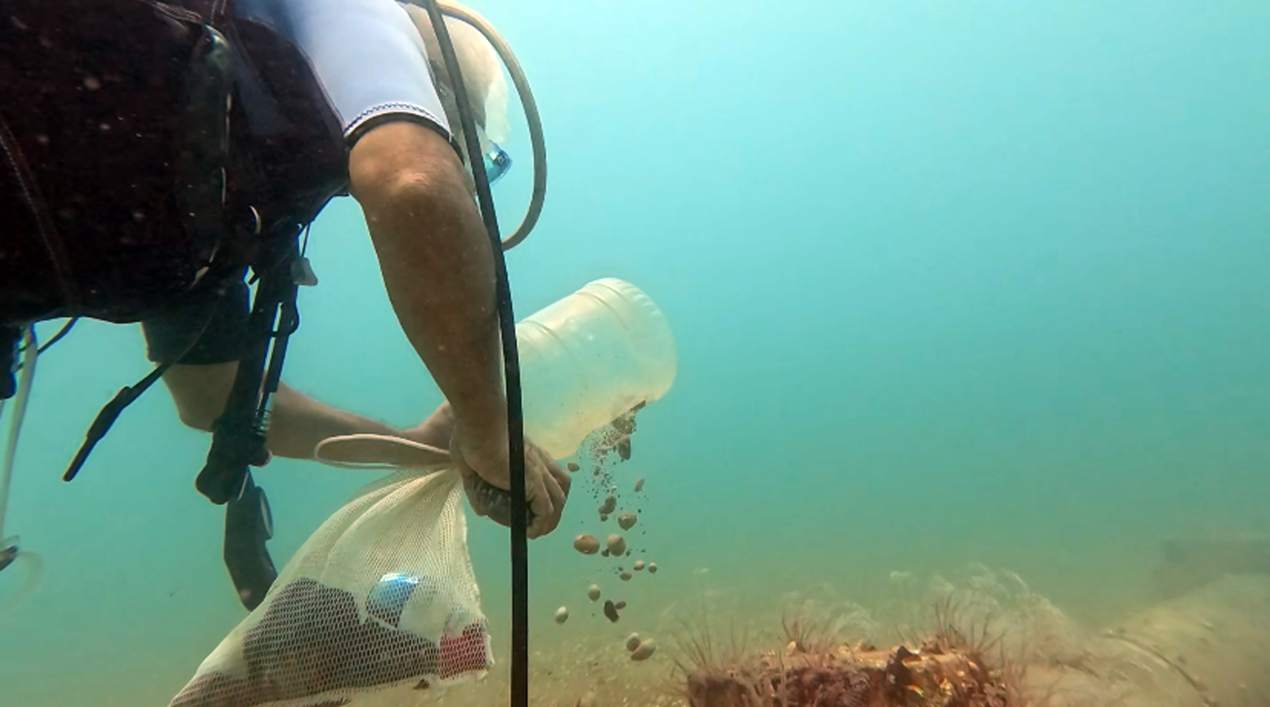 Balık tutuyoruz diye doğayı katlediyorlar! Pet şişeler denizi zehirliyor
