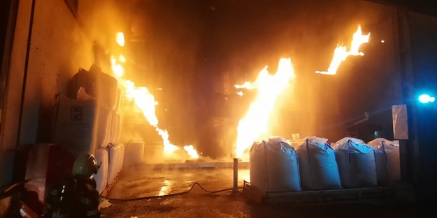 Balık yemi fabrikasında yangın