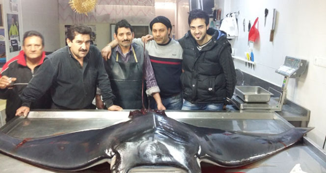 Balıkçı ağına 300 kiloluk ’uçan vatoz’ takıldı