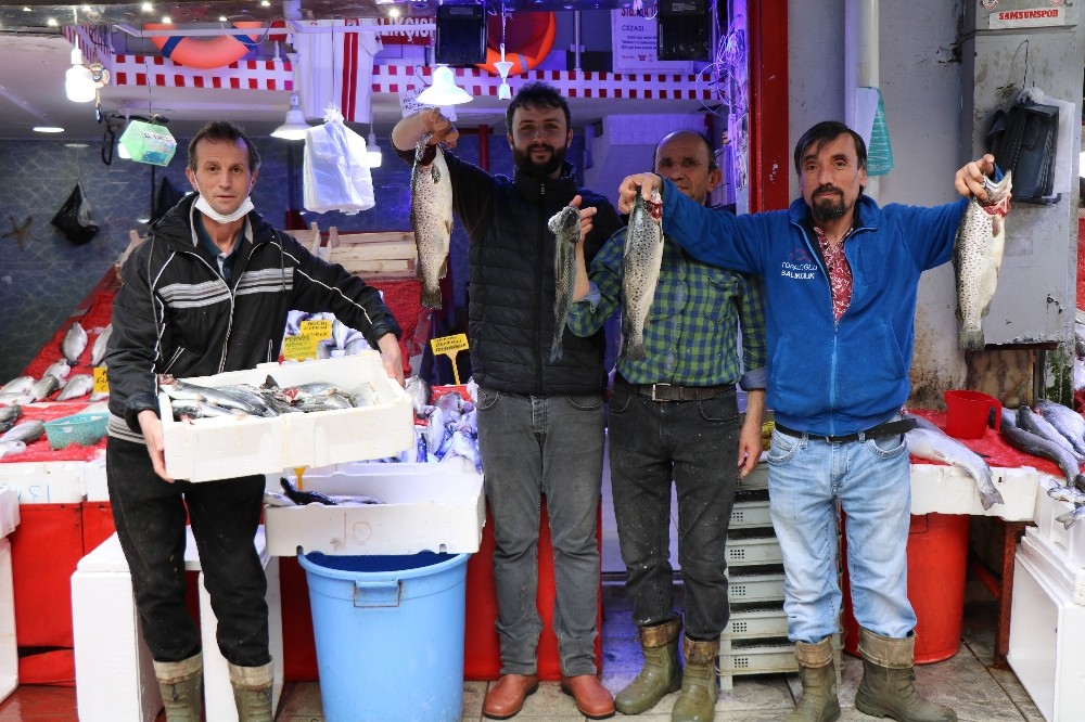 Balıkçı tezgahlarında benekli somon ve barbun sürprizi 