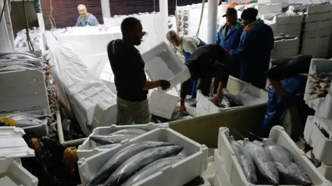 Balıkçılar bile şaşkın: Karadeniz’den öyle bir şey çıktı ki…