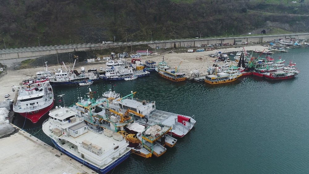 Balıkçılar erken 