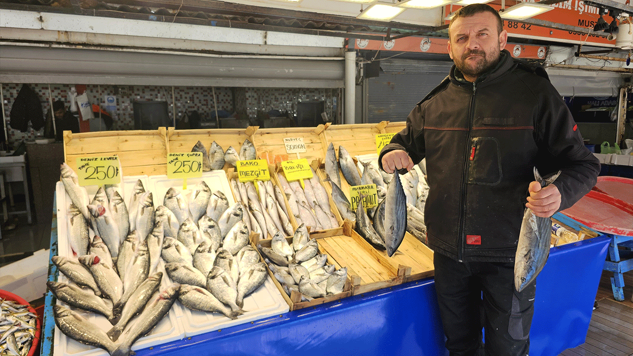 Balıkçılar için sezon kapanıyor! Marmara'da avlanma yasağı başlıyor