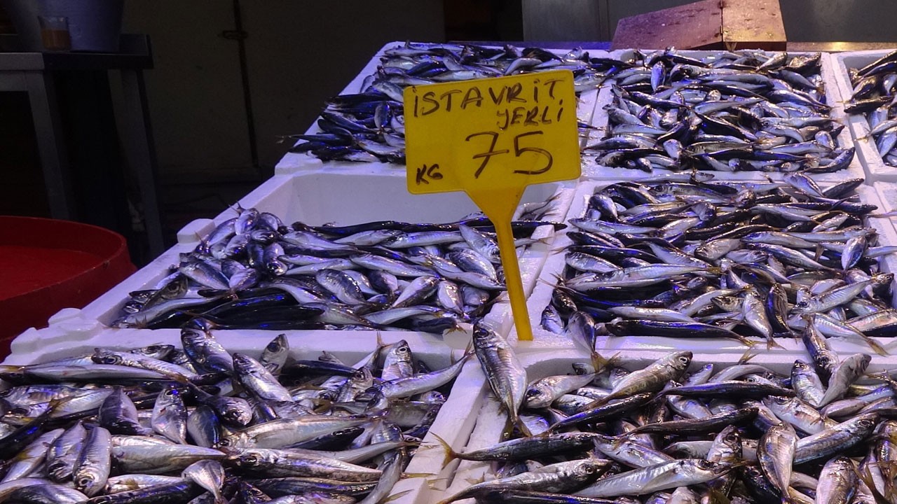 Balıkçılar sezonun erken kapanmasını tartışıyor