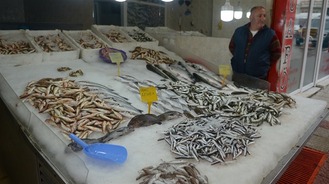 Balıkçılara 'hamsi' sürprizi