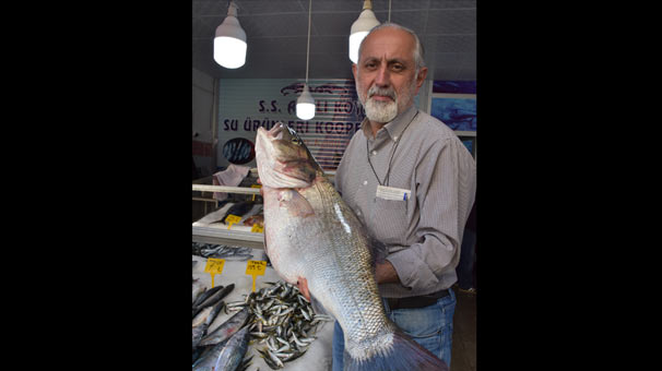 Balıkçılarda 11 kilogramlık levrek mutluluğu