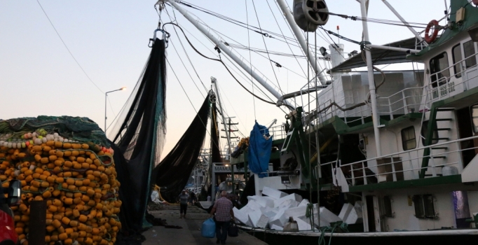 Balıkçıları kalkan sevindirdi