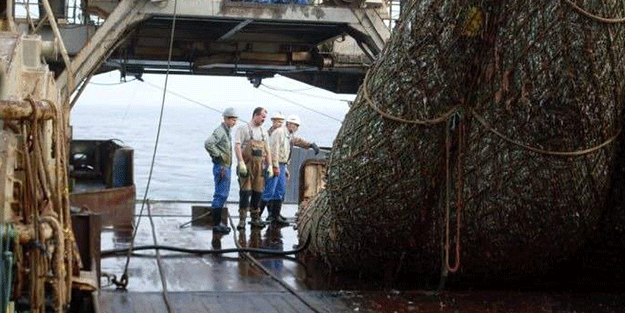 Balıkçıların ağına takıldı! Gözlerine inanamadılar