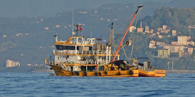 Balıkçıların palamut beklentisi