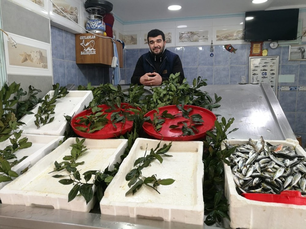 Balıkçıların tezgahları boş kaldı, bazı dükkanlar kapandı 