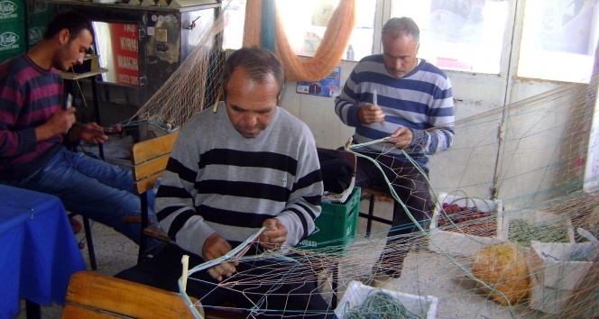 Balıkçıların yüzü gülüyor