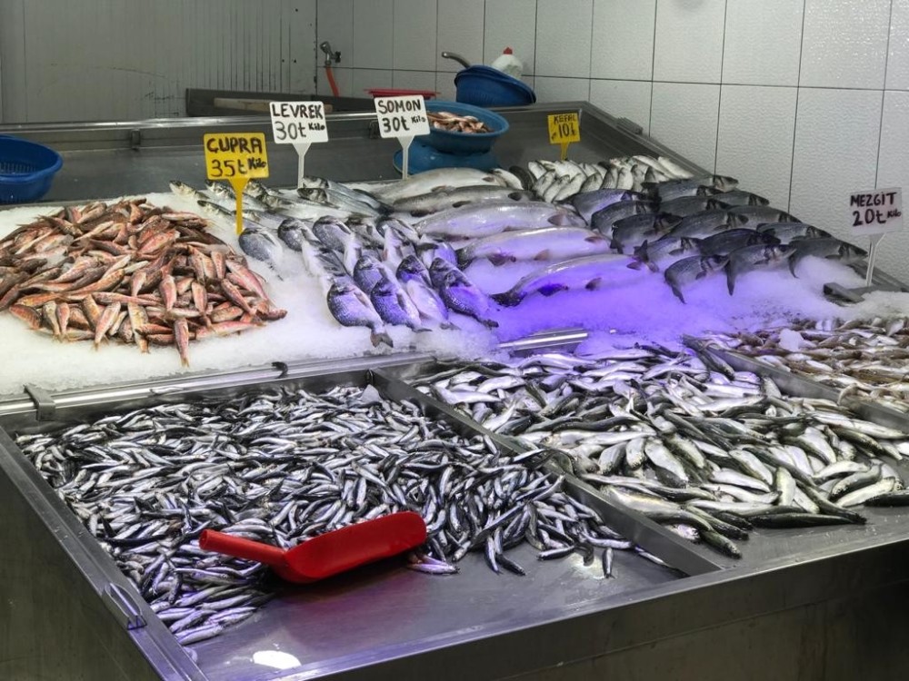 Balıkçıların yüzünü hamsi güldürdü 