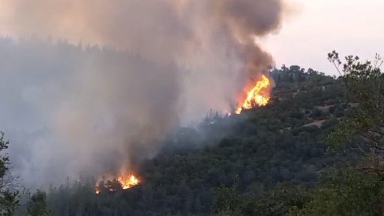 Balıkesir Altıeylül’de Orman Yangınına Havadan ve Karadan Müdahale