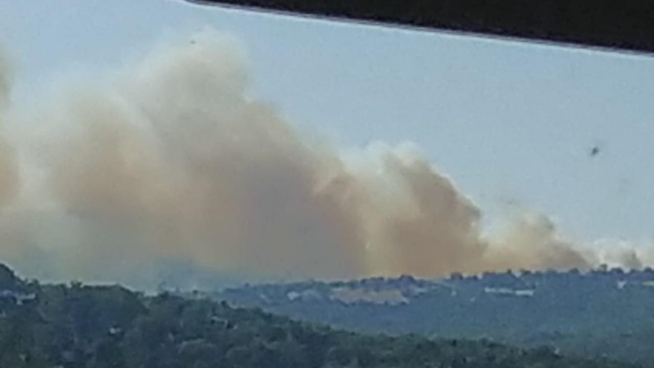 Balıkesir İvrindi’de orman yangını