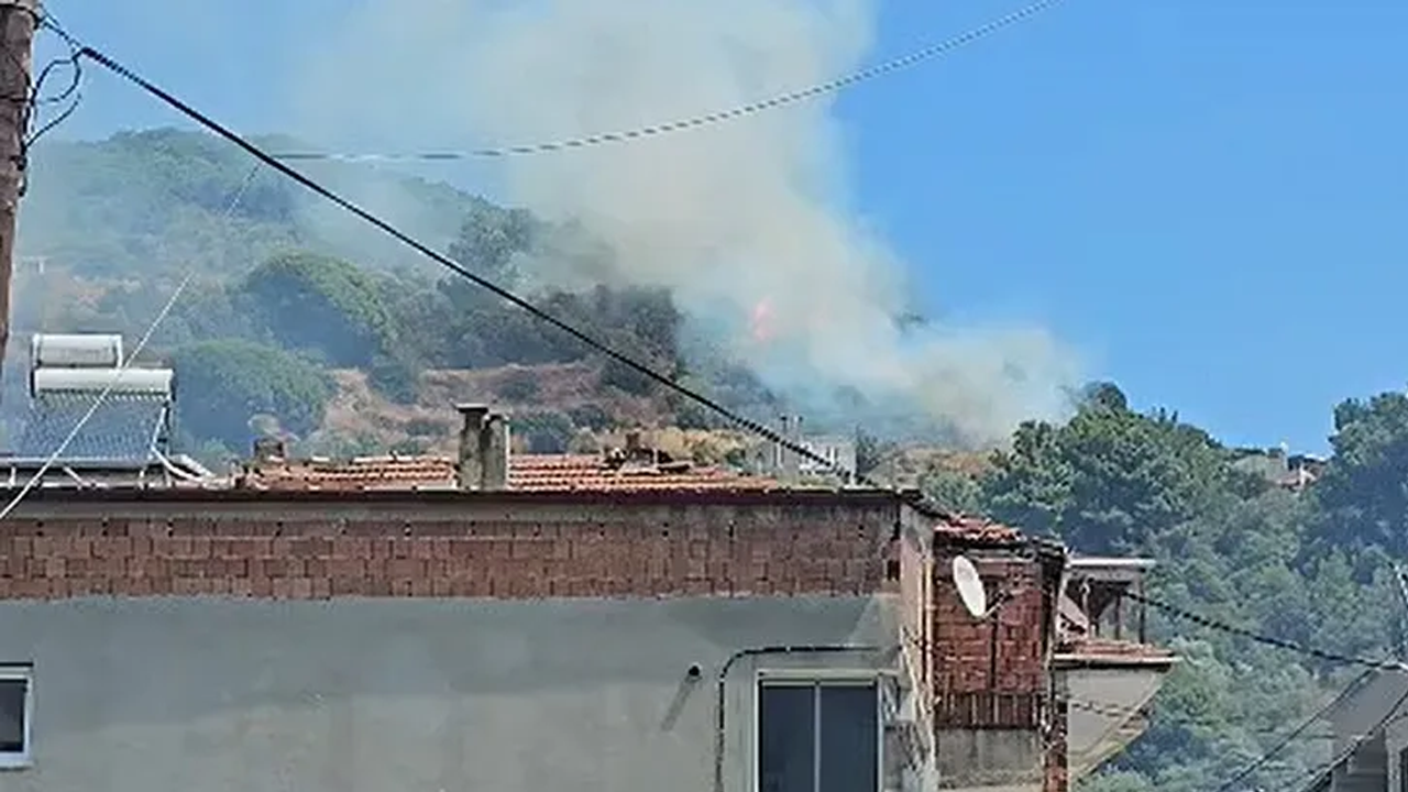 Balıkesir orman yangını