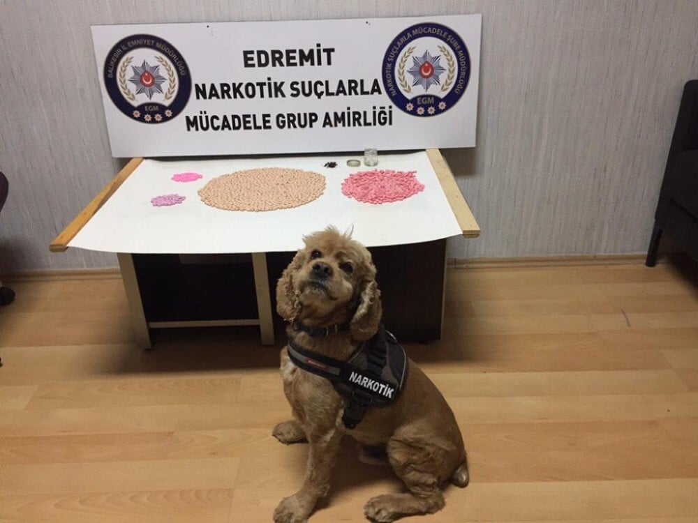 Balıkesir polisinden büyük uyuşturucu operasyonuı 