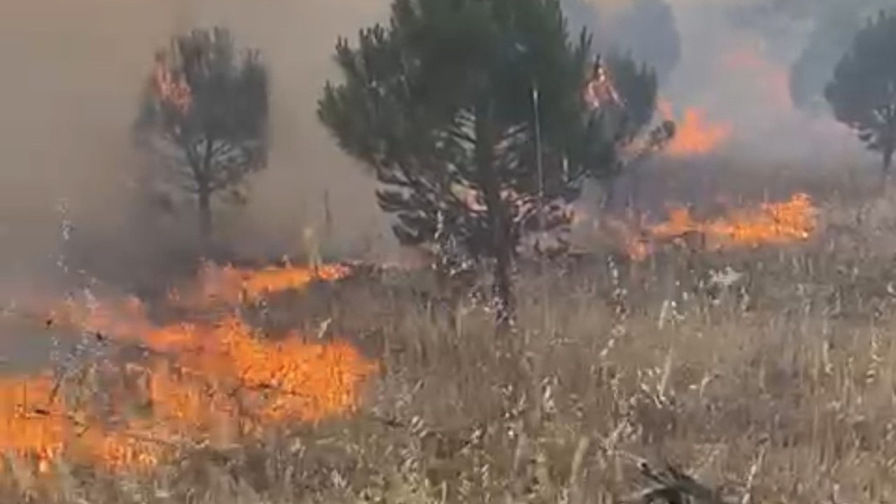 Balıkesir Sındırgı’da meralık alanda yangın