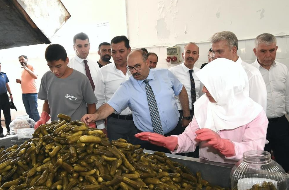 Balıkesir valisinden kornişon hasadı