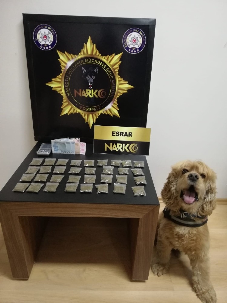 Balıkesir’de 136 gram toz esrar ele geçirildi 