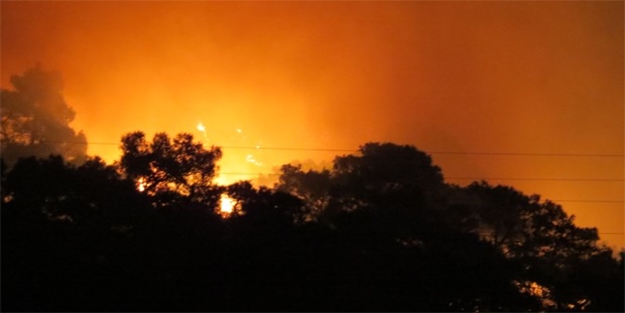 Balıkesir'de büyük orman yangını!