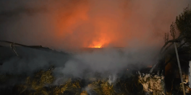 Balıkesir'de çiftlikte yangın