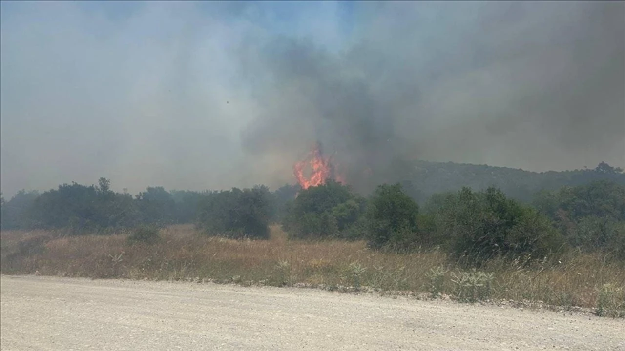 Balıkesir'de çıkan orman yangın söndürüldü!