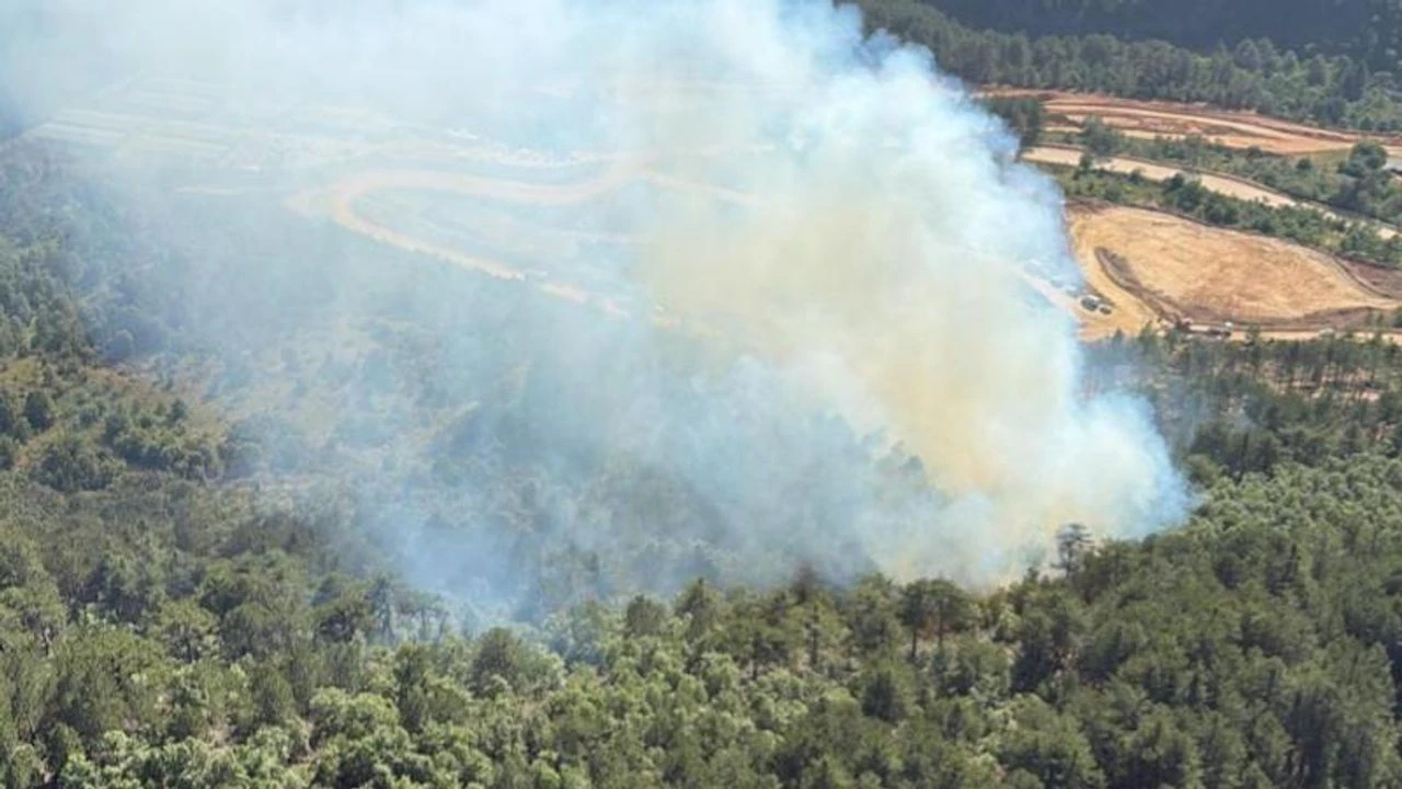 Balıkesir'de çıkan orman yangını kontrol altında