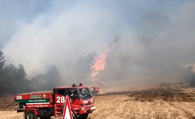 Balıkesir’de çıkan orman yangını söndürüldü 
