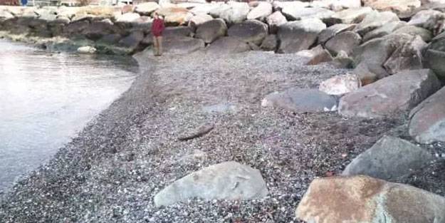 Balıkesir'de deniz çekildi