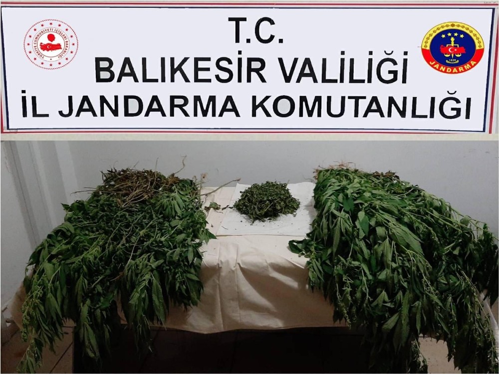 Balıkesir’de jandarmadan uyuşturucu operasyonu 